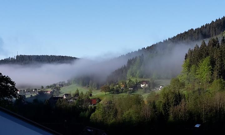 Schwarzwaldhotel Tanne